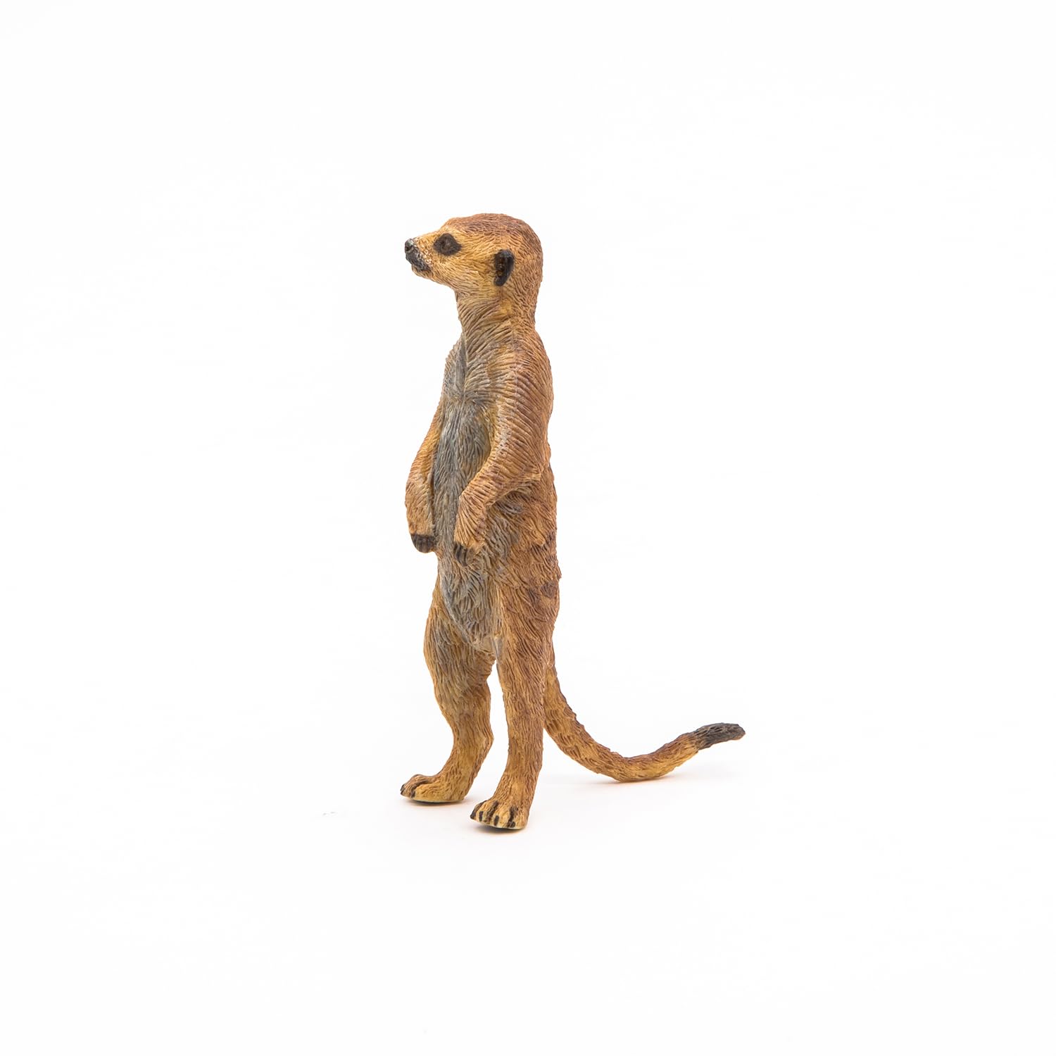 Papo 50206 Standing Meerkat Figurine - Educational Wildlife Play Figure for Kids 3+ 2