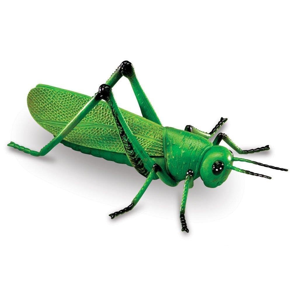 Learning Resources Jumbo Insects Toy Set for Ages 3-7 | Durable Plastic Figures 4