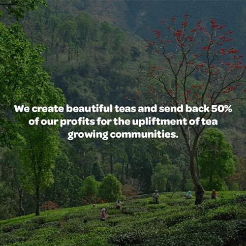 Tea People Russian Caravan Tea Caddy Pyramids (Pack of 20) 3