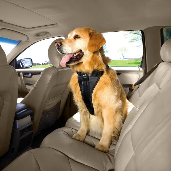 Kurgo Enhanced Strength Tru-Fit Dog Car Harness - Crash Tested, Adjustable, Padded Chest | Large 2