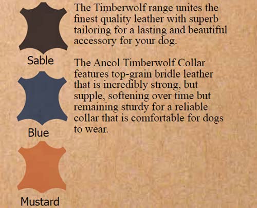 Ancol Timberwolf Leather Dog Collar - Blue | Size 3 (28-36 cm Neck) | 1.6 cm Width 9