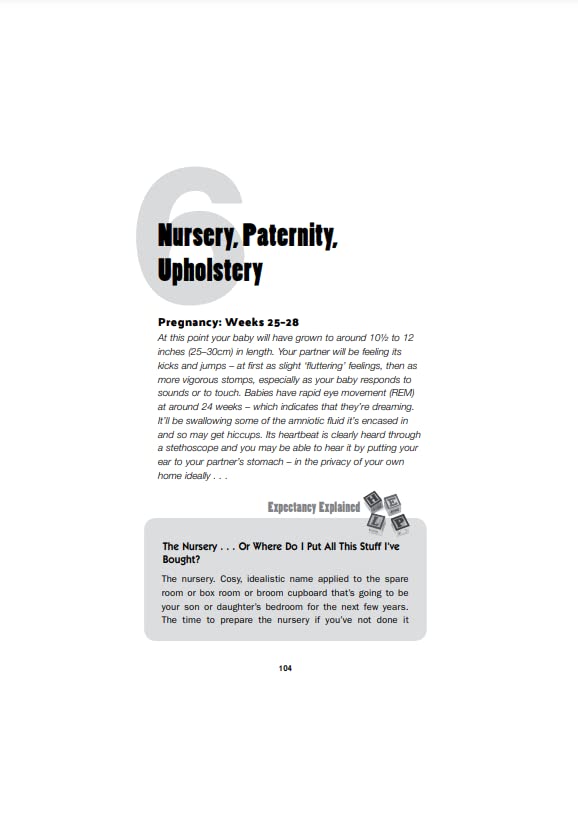 Vermilion The Expectant Dad's Survival Guide: Everything You Need to Know | Paperback 4