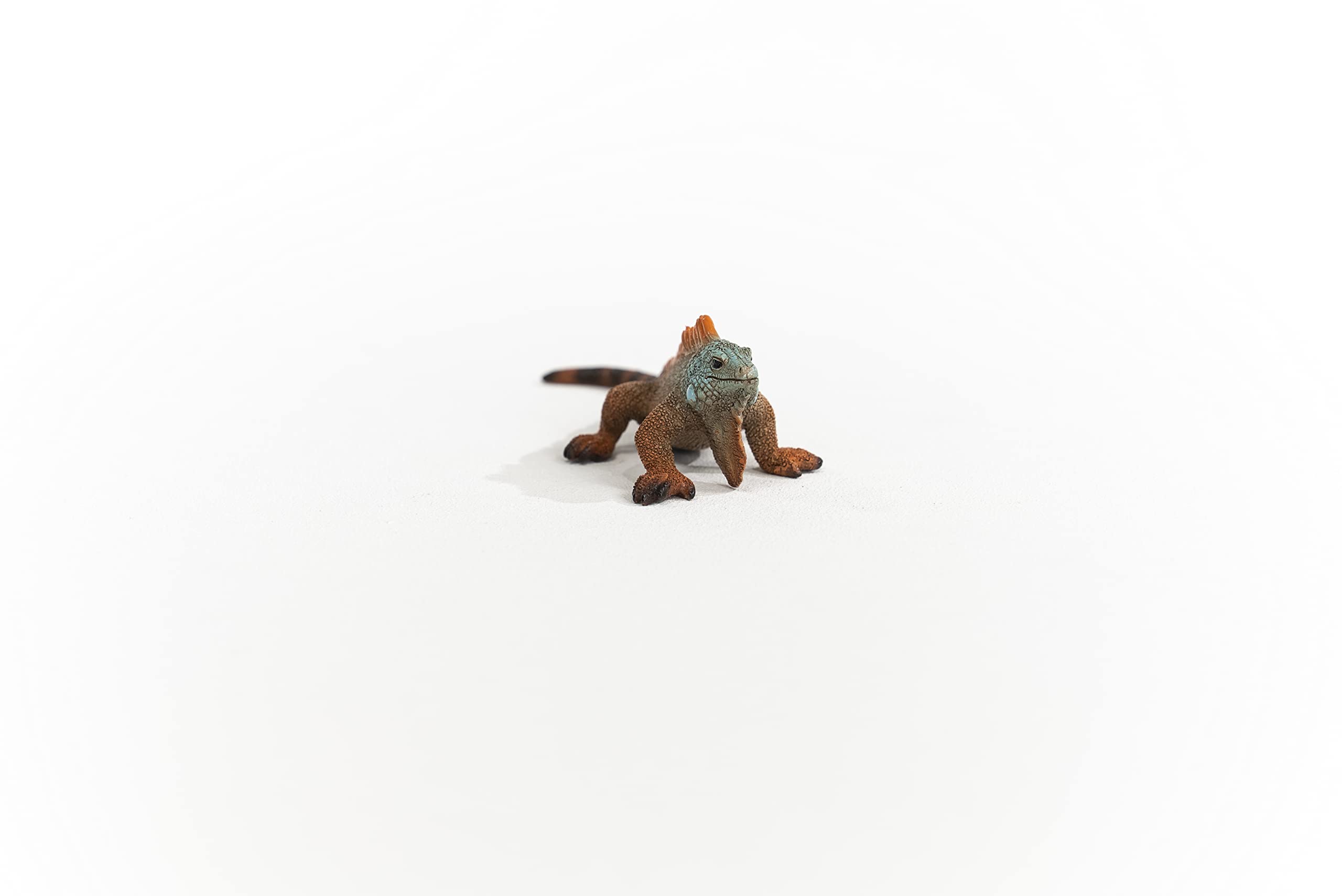 SCHLEICH Iguana Wildlife Figurine - Realistic Reptile Toy for Kids 3