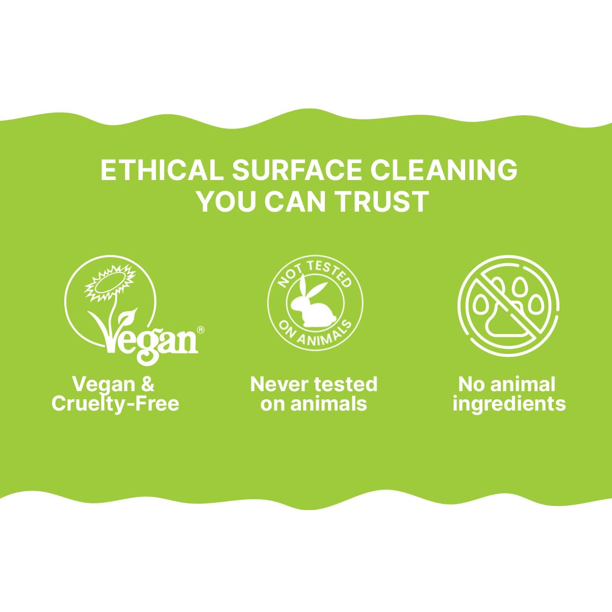 CareBee Plastic-Free Antibacterial Surface Wipes - Plant-Based, Biodegradable, Lemon Scent | Pack of 6 4