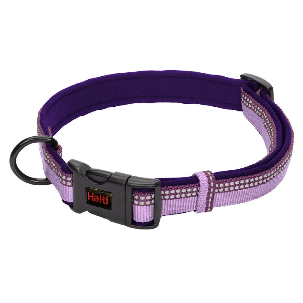 Halti Comfort Collar - Purple, Small Size, Neoprene-Padded Nylon, Reflective Strip 1