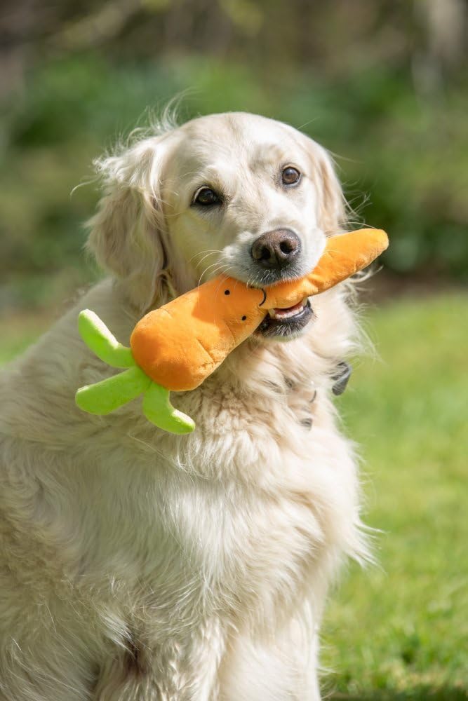 Petface Foodie Faces Fluffy Carrot Dog Toy - Squeaky, Plush, Indoor Play 4
