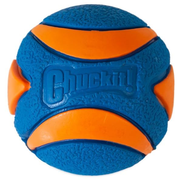 Chuckit! Ultra Squeaker Dog Ball - Medium Natural Rubber Fetch Toy | 3 Pack | Orange 2