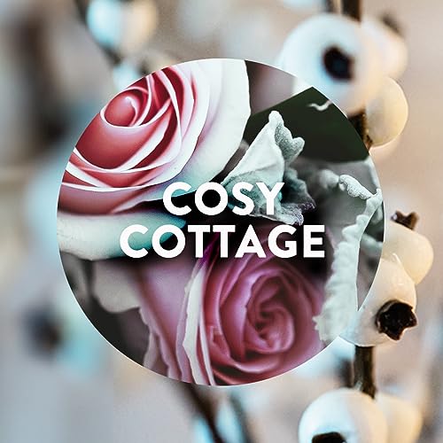 Air Wick - Cosy Cottage Frosted Roses & Snowberry Freshmatic Max Twin Refill