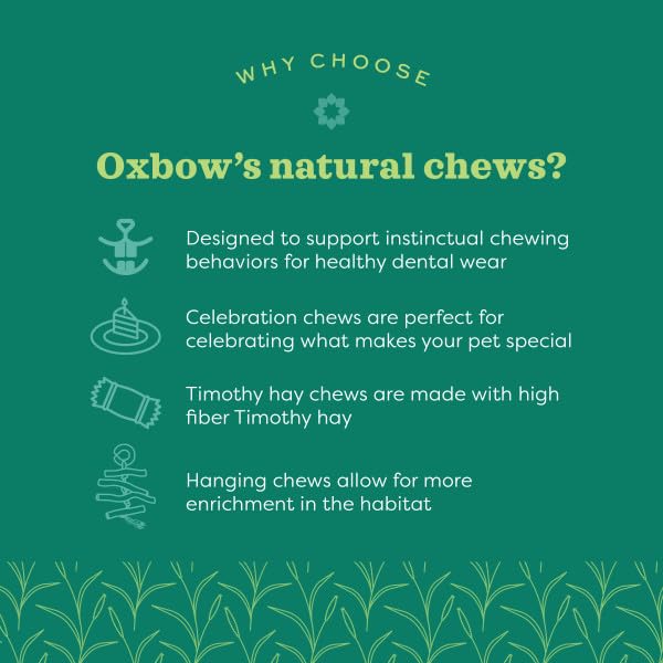 Oxbow Enriched Life Apple Stick Bouquet - Small Animal Chew Toy | Promotes Dental Health 3