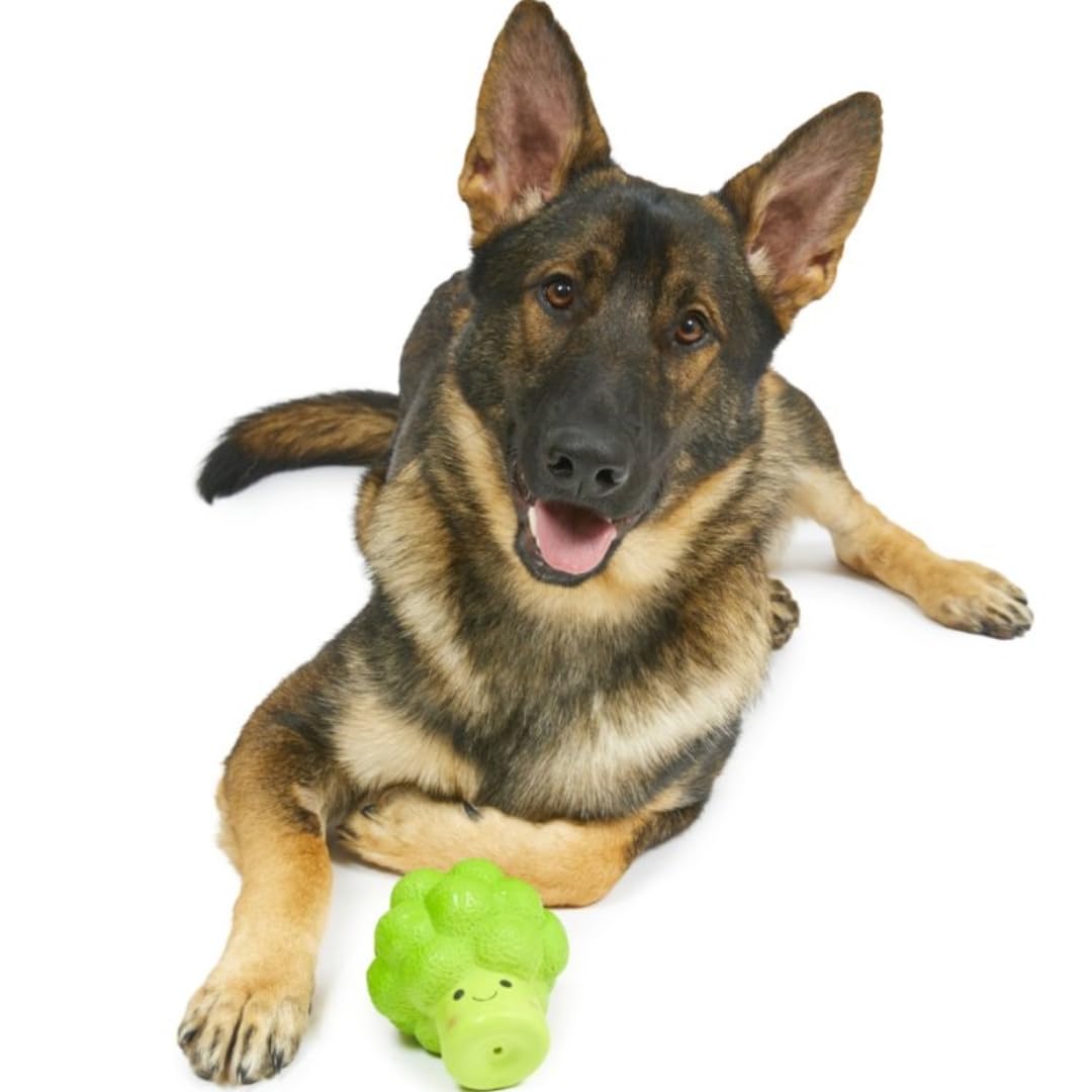 Petface Large Latex Broccoli Soft Squeak Chew Dog Toy | Durable Natural Rubber 4