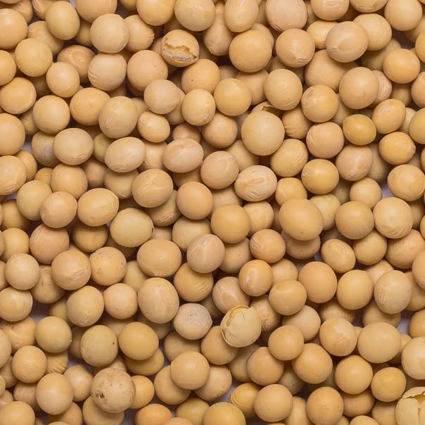 Wholefood Earth Organic Soya Beans 1kg - GMO Free, Vegan, High Fibre, High Protein