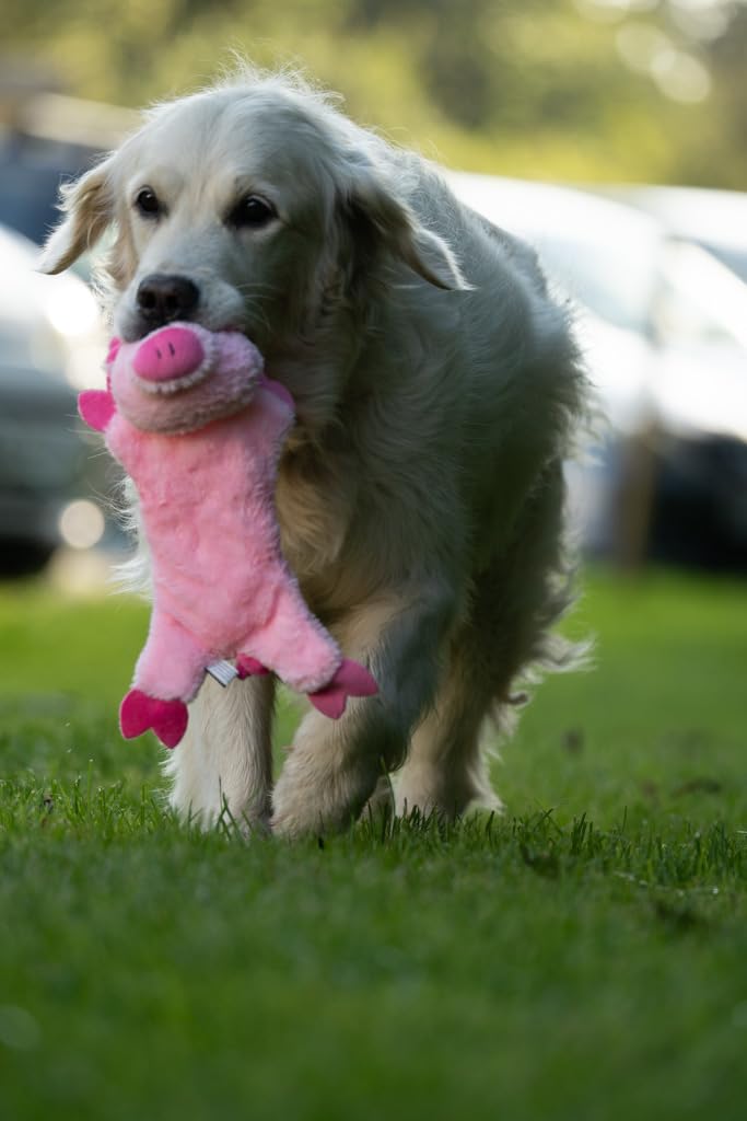 Petface Farmyard Buddies Crinkle Flat Pig Dog Toy - Small Size | Lightweight | Pink 5