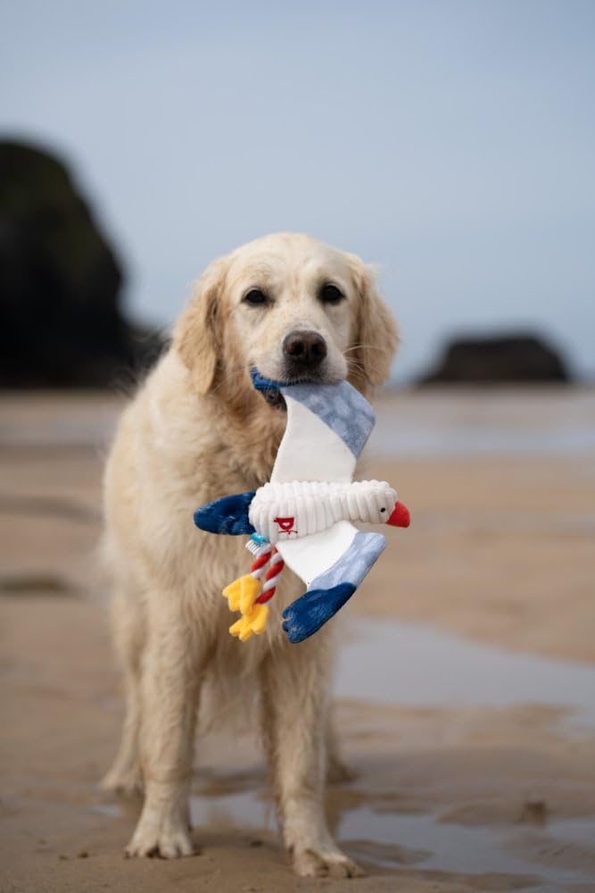 Petface Sammi The Seagull Plush Dog Toy - Soft Cuddle & Play 3