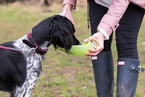 Rosewood Portable Leaf Travel Water Bottle for Large & Medium Dogs | Clear/Green Plastic