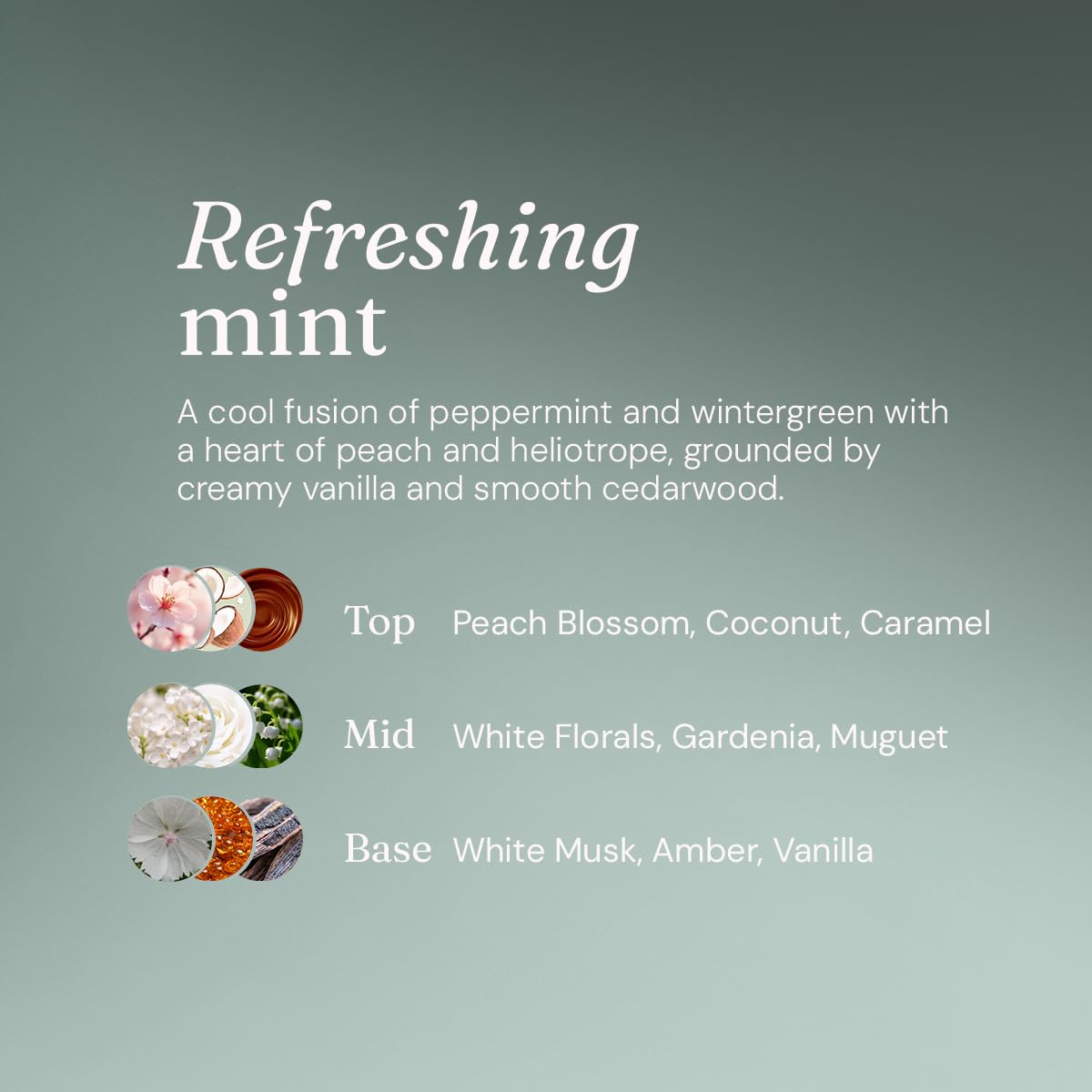 Miniml Window & Glass Cleaner Spray - Streak-Free Shine, Mint Scented, 750ml 6