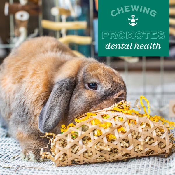 Oxbow Enriched Life Celebration Cupcake Chew Toy for Small Animals | Supports Dental Health & Mental Stimulation 5
