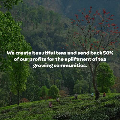 Tea People Ginger Root Pieces - Loose Herbal Tea in Tin Caddy, 125g 3