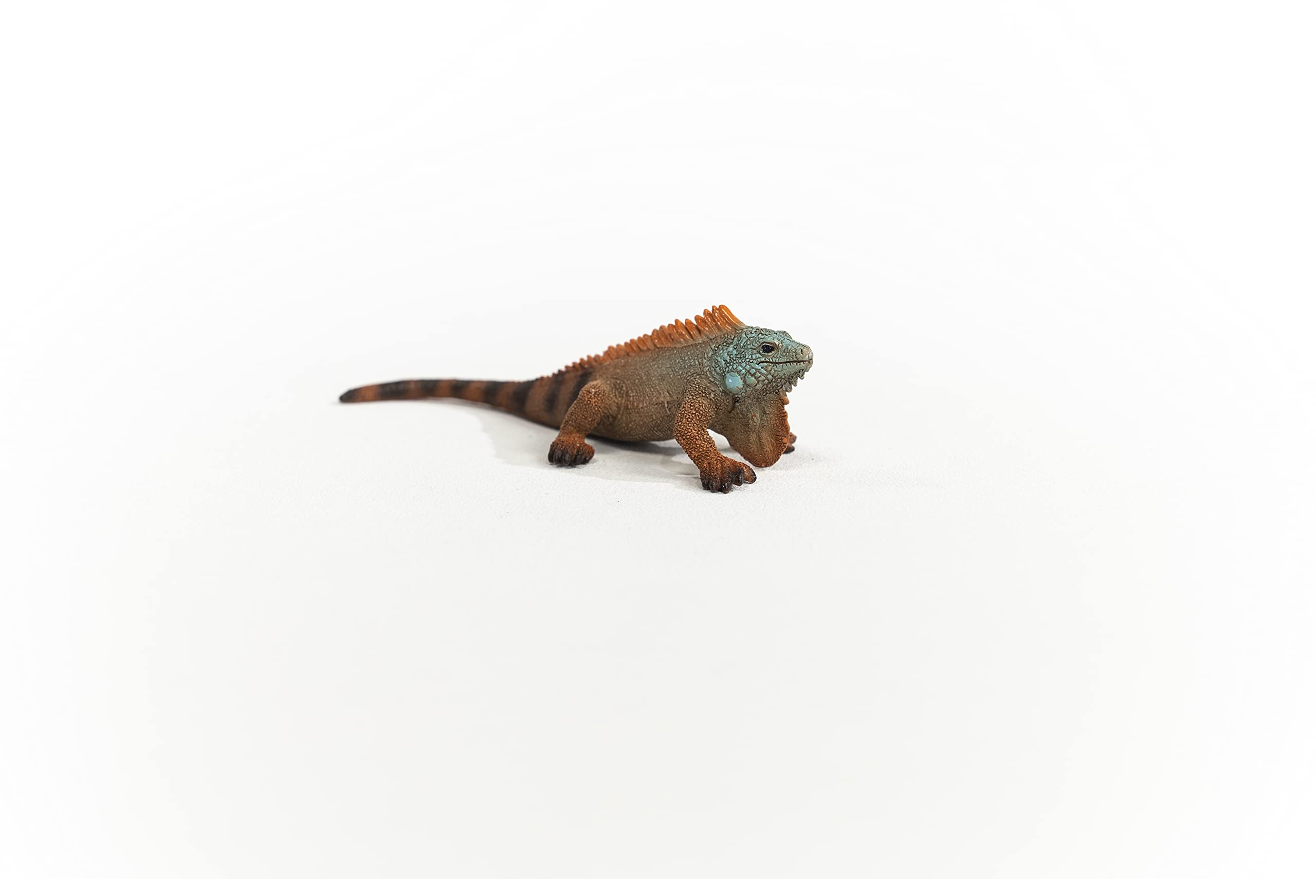 SCHLEICH Iguana Wildlife Figurine - Realistic Reptile Toy for Kids 4