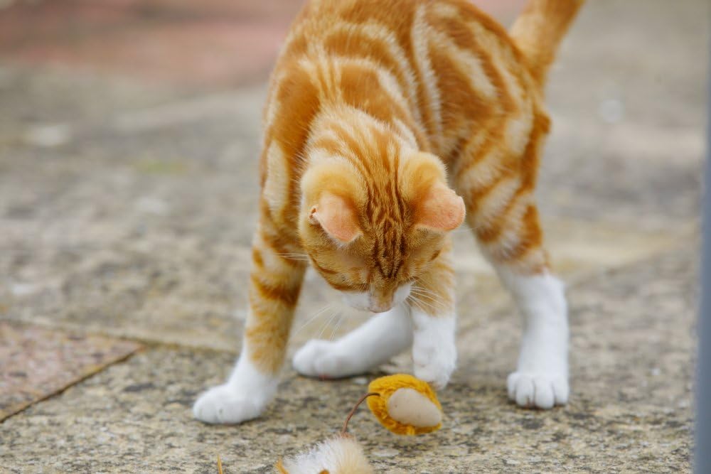 Petface Feather Tail Mice Cat Toys - Pack of 2 | Catnip Scented | Lightweight 8