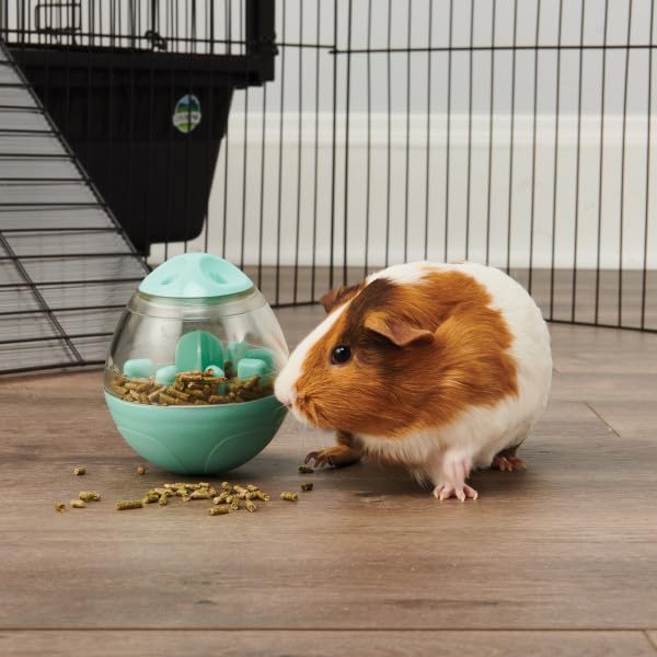 Oxbow Enriched Life Wobble Teaser - Small Animal Food Dispensing Toy for Rabbits & Guinea Pigs 4