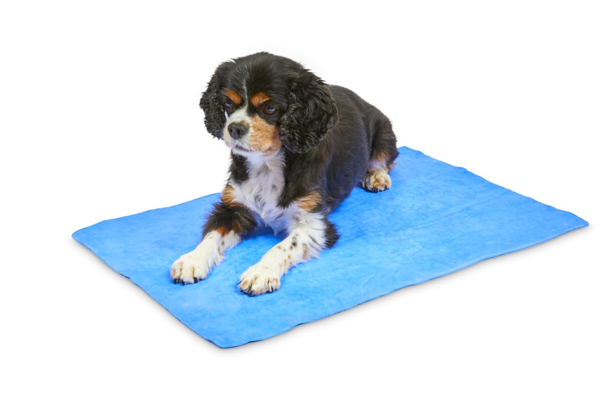 Petface Cooling Summer Pet Towel - Water-Activated Relief | 66 x 43 cm | Blue 2