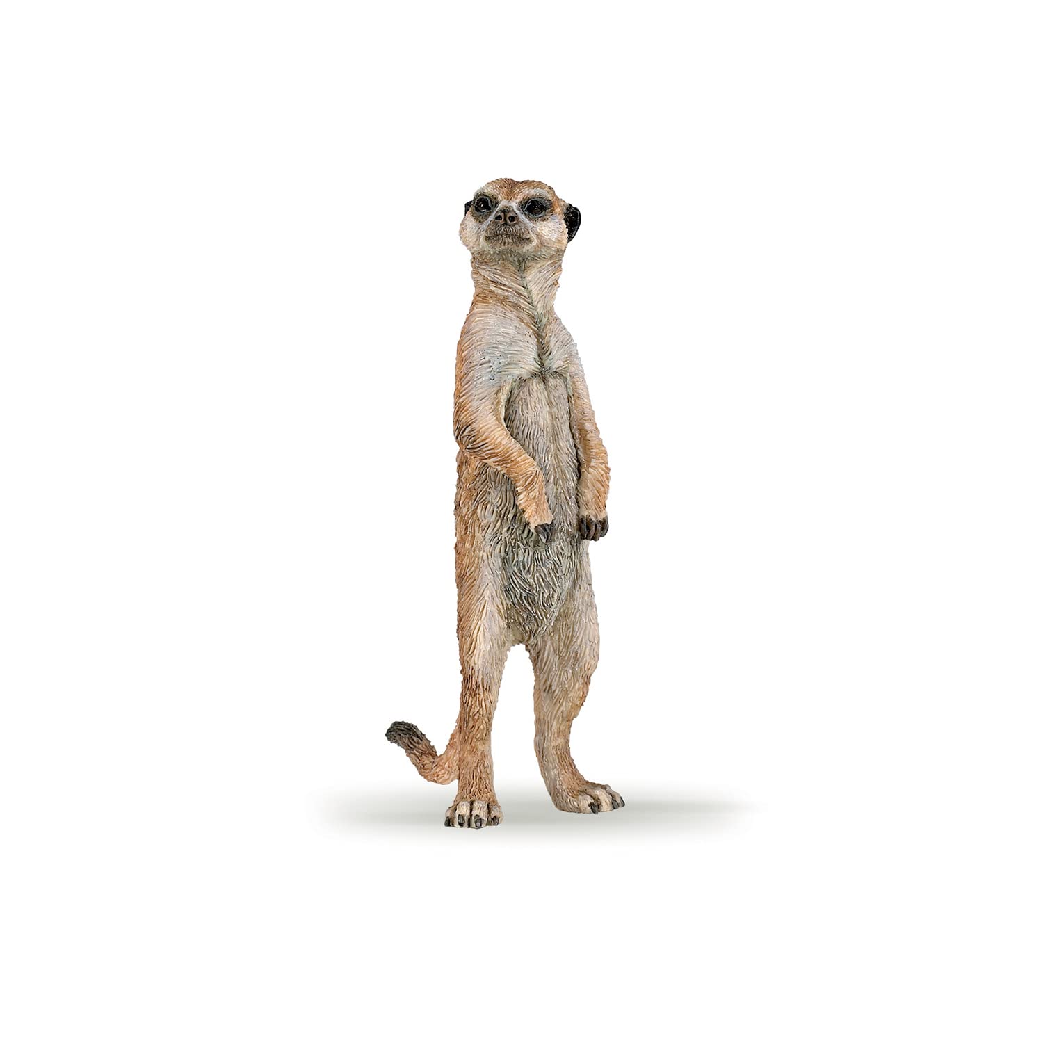 Papo 50206 Standing Meerkat Figurine - Educational Wildlife Play Figure for Kids 3+ 1