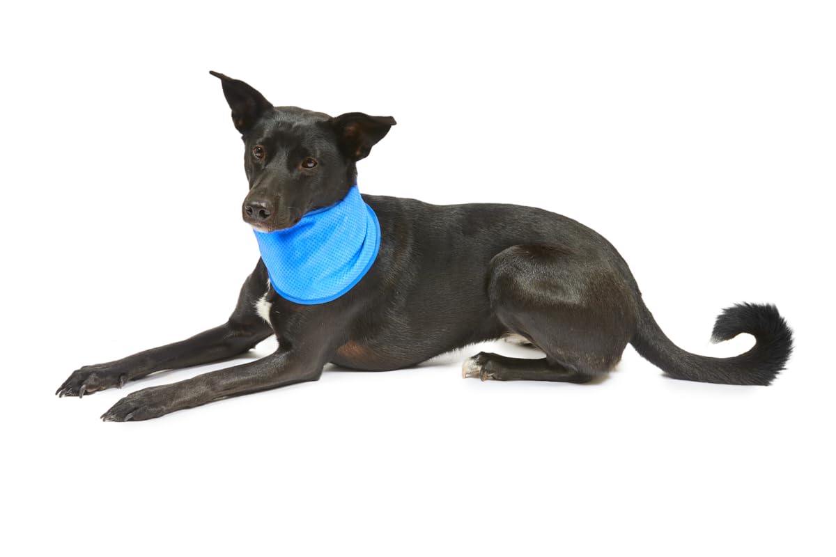 Petface Cooling Summer Blue Dog Bandana - Water-Activated Reusable | Large (38-52 cm Neck) 7