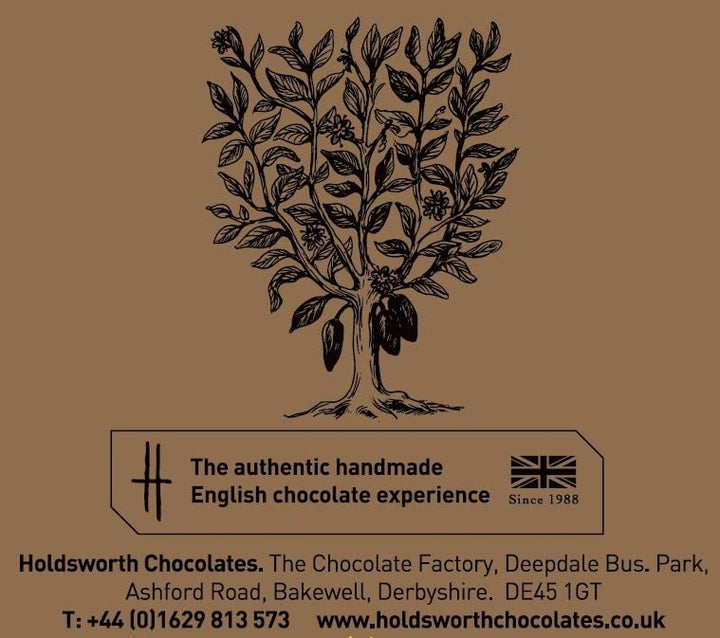 Holdsworth Chocolates - Truly Scrumptious Assorted Handmade Chocolates 55g