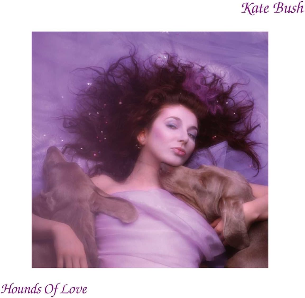 Kate Bush – Hounds of Love (Fish People Edition) [VINYL]