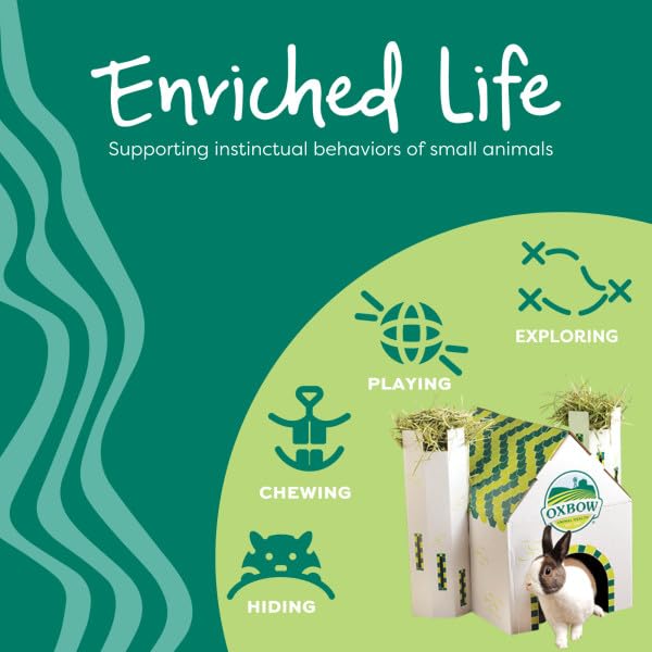 Oxbow Enriched Life Loco Ball - Small Animal Chew Toy for Rabbits & Guinea Pigs | Natural Fibres 5