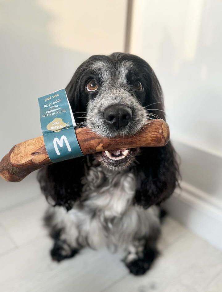 pet wiz Olive Wood Dog Chew Toy - Oral Hygiene & Mental Stimulation | Large Size 3