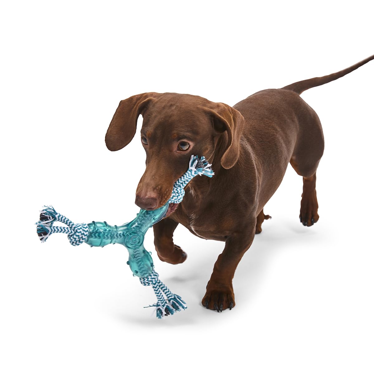 Petface Little Petface Tripod Puppy Dog Chew Toy - Durable Silicone | Unscented | Blue 5
