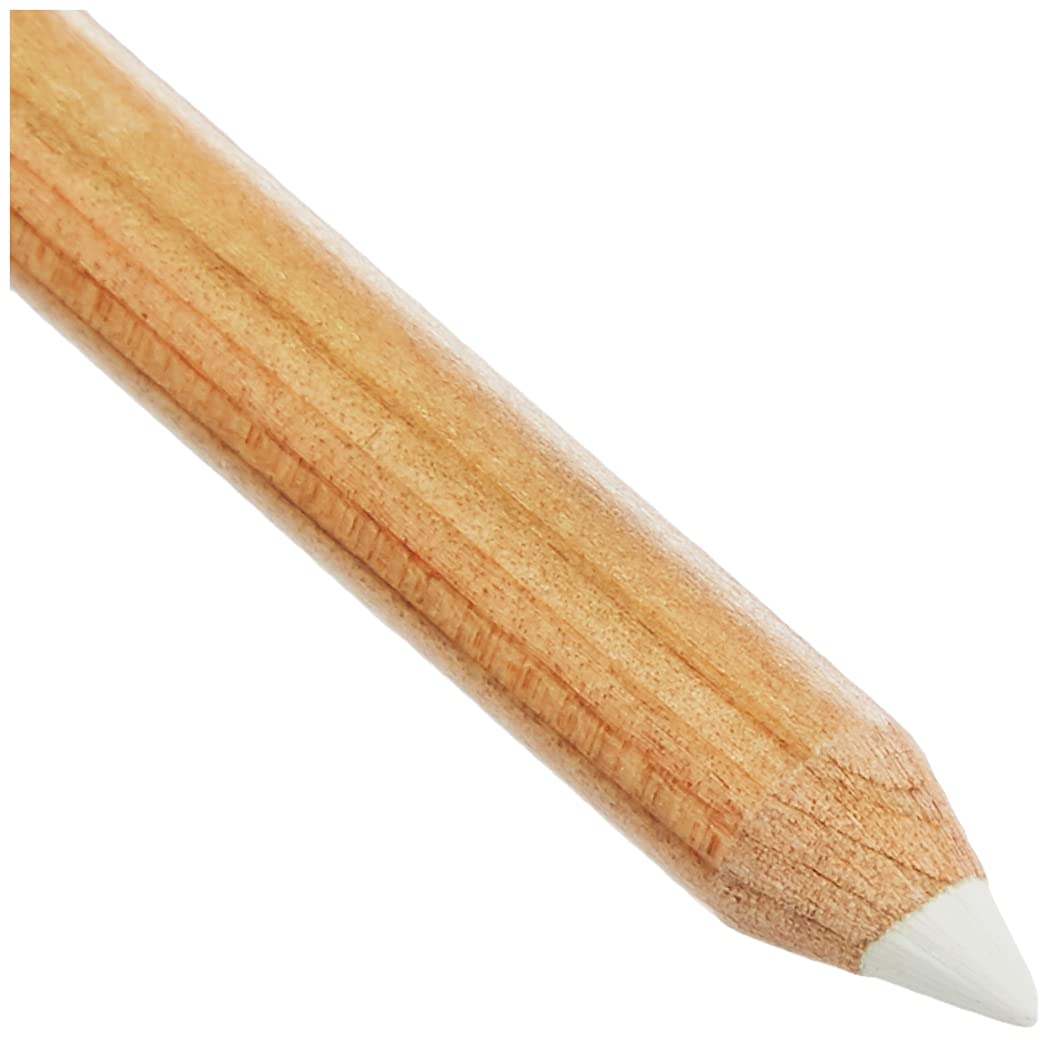 Faber-Castell PITT Monochrome Artists' Medium Pastel Pencil - White | HB Hardness | Grease/Oil Free 3