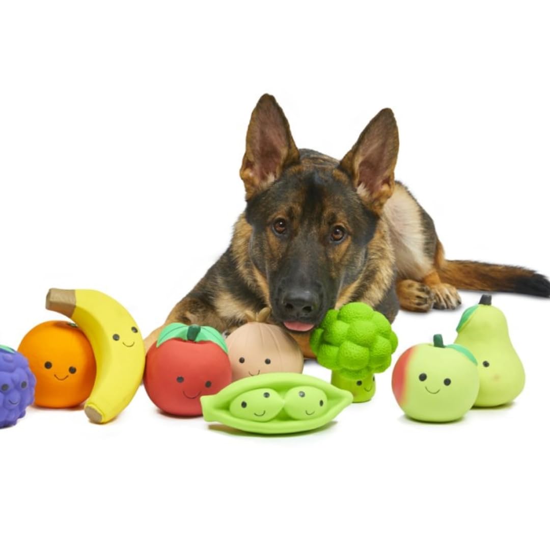 Petface Latex Pea Pod Soft Chew Dog Toy - Large Size | Built-in Squeaker | Natural Rubber 4
