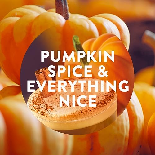 Airwick - Plug in Diffuser Twin Refill Pumpkin Spice & Everything Nice 19ml