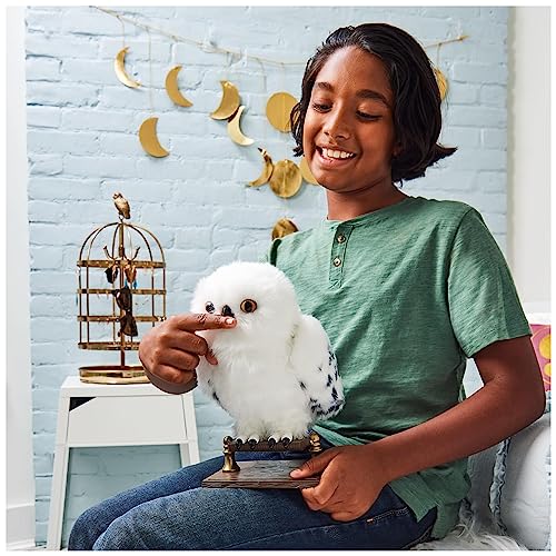 Wizarding World Enchanting Hedwig Hibou interactif Harry Potter avec plus de 15 sons
