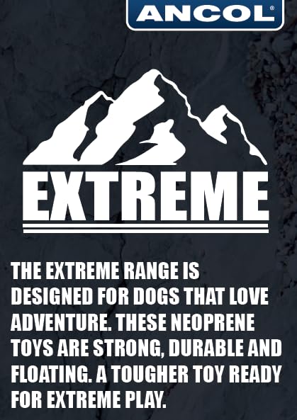 Ancol Extreme Floating Baton Dog Toy - Orange/Black, 25cm Length 5
