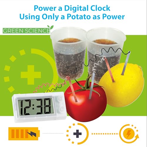 Science Museum Potato Clock - Educational Science Kit 8