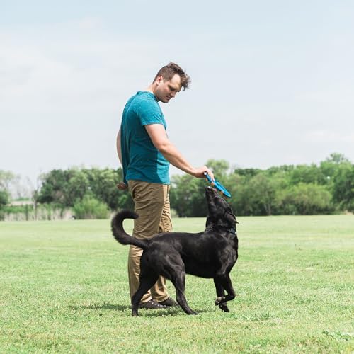 Chuckit! WHISTLE FLYER - High Visibility Multi-Color Dog Frisbee | Durable Rubber | Lightweight 9