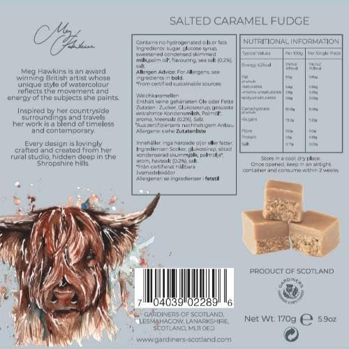 Gardiners of Scotland Salted Caramel Fudge - Luxury Handmade Soft Fudge | 170g Carton 4