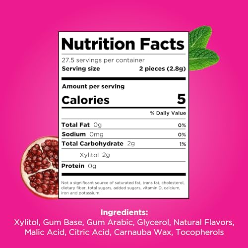 PUR - Pomegranate Mint Sugar-Free Chewing Gum (55 Pieces, Pack of 6) 6