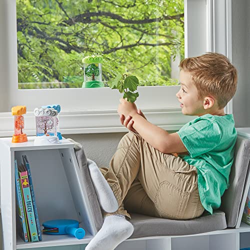 Learning Resources Changing Seasons Sensory Tubes - Educational Nature Playset for Toddlers 3+ 10