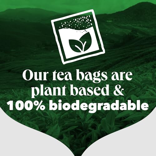 PG Tips - Earl Grey Individually Wrapped Tea Bags, 150 Enveloped Flavoured Black Tea