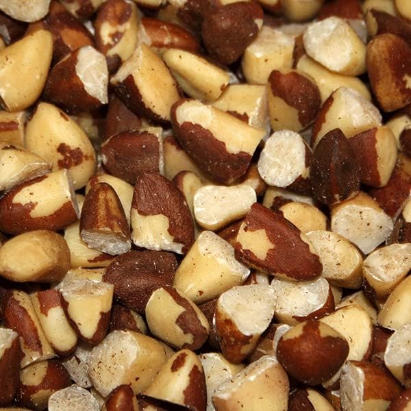 Wholefood Earth Broken Brazil Nuts 1 kg | GMO Free | Natural | Vegan | High in Fibre & Protein