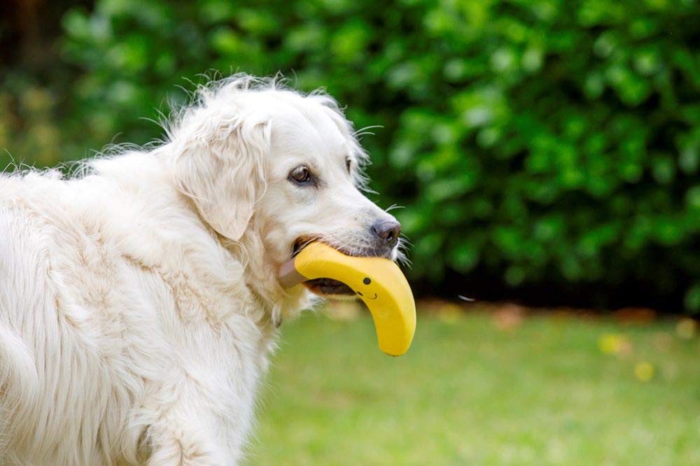 Petface Small Latex Banana Soft Chew Dog Toy - Durable Natural Rubber for Small Breeds