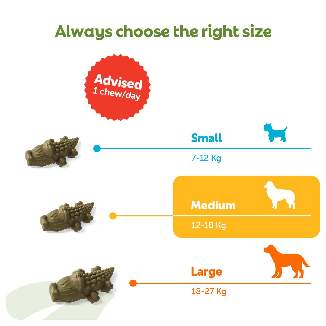 WHIMZEES By Wellness Alligator Dental Sticks - Natural, Grain-Free Chews for Medium Dogs (12 Count) 4