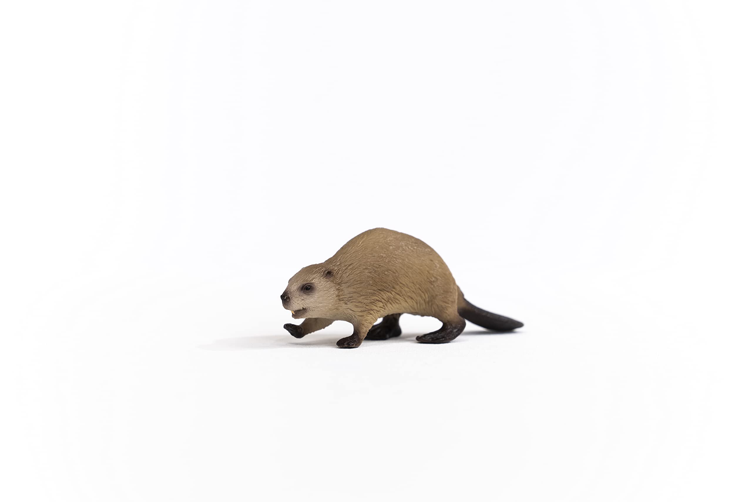Schleich 14855 Beaver - Wildlife Animal Figure for Kids 3+ 6