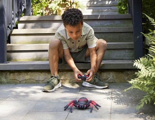 Terra by Battat AN2805Z Remote Control Spider Toy - Realistic Moving Legs, 360° Spin, Educational Insect Play for Kids 6