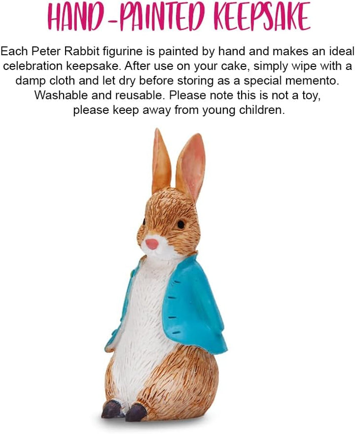 Anniversary House Peter Rabbit Resin Keepsake Cake Topper - Hand-Painted Figurine Decoration