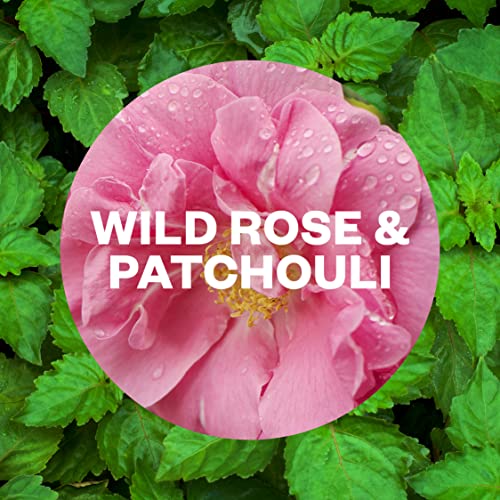 Airwick - Wild Rose and Patchouli Plug-in Diffuser Refill (2 x 19ml)
